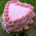 http://feedingmyenthusiasms.blogspot.com/2015/05/pink-rich-and-oh-so-strawberrywhat-cake.html