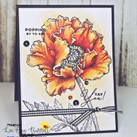 https://greytpapercrafts.blogspot.com/2019/02/orange-is-new-monochromatic-color.html