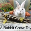 willow chew sticks for rabbits